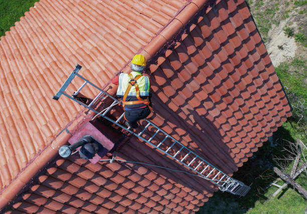 Best Roof Coating and Sealing  in Reading, MI