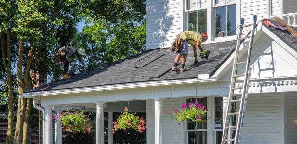 Best Roof Moss and Algae Removal  in Reading, MI